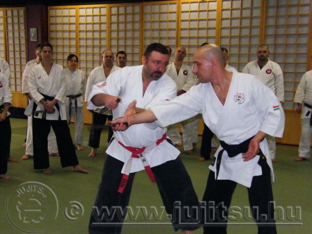 Újra van Központi dojo