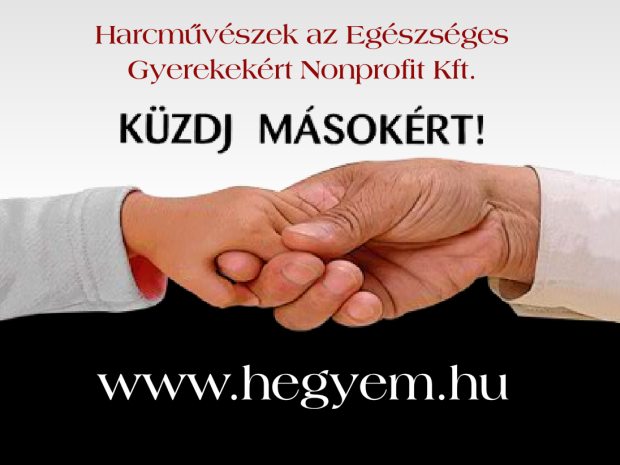 Harcművészek az Egészséges Gyerekekért