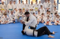 Syllabus szemin&aacute;rium &eacute;s orsz&aacute;gos vizsga időpontok 2023 ősz!