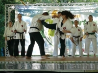 Febru&aacute;ri bemutat&oacute;ink